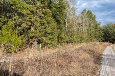 Land in Fort White, Florida № 2094087 - photo 5