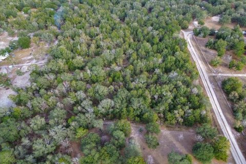 Land in Fort White, Florida № 2094087 - photo 10