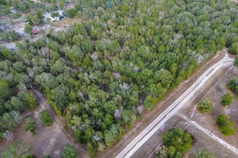 Land in Fort White, Florida № 2094087 - photo 8