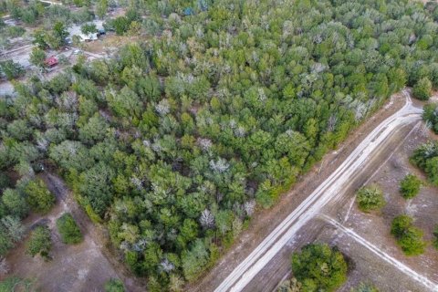 Land in Fort White, Florida № 2094087 - photo 2