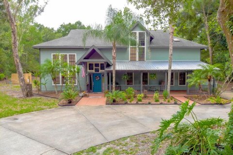 House in Lake Helen, Florida 4 bedrooms, 276.48 sq.m. № 2398854