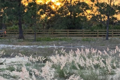 Land in Clewiston, Florida № 2089197 - photo 4