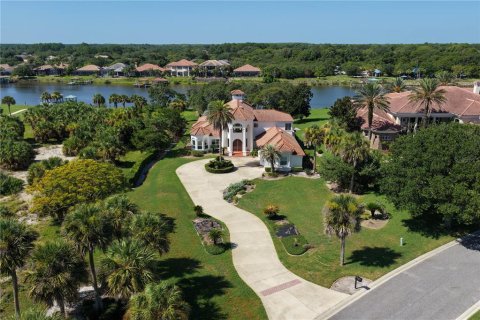 Villa ou maison à Palm Coast, Floride 4 chambres, 434.78 m2 № 2197664
