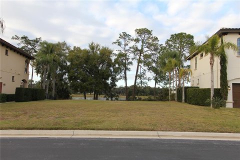 Land in Lake Mary, Florida № 1555231 - photo 1