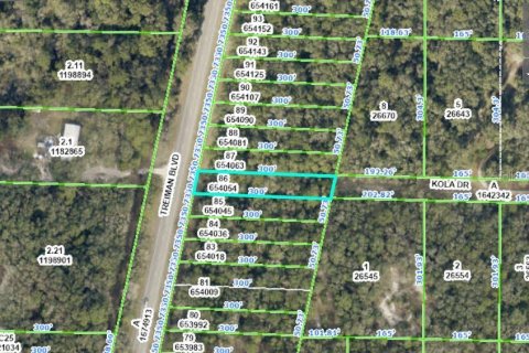Land in Webster, Florida № 2163552