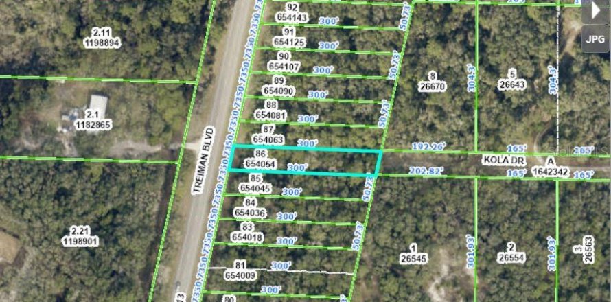 Land in Webster, Florida № 2163552