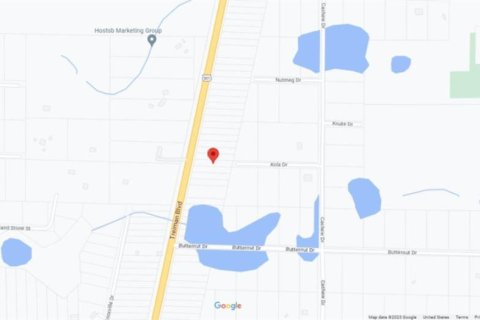 Land in Webster, Florida № 2163552 - photo 6