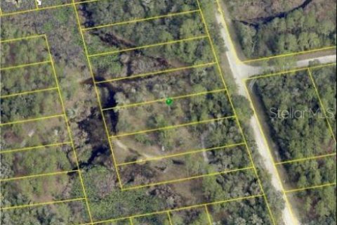 Land in Webster, Florida № 2163552 - photo 5