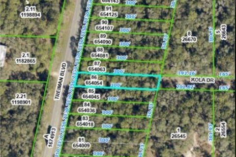 Land in Webster, Florida № 2163552 - photo 3