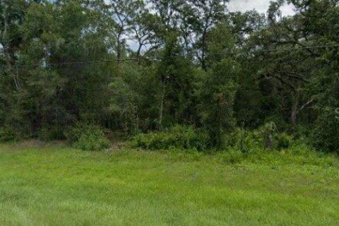Land in Webster, Florida № 2163552 - photo 2