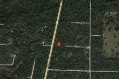 Land in Webster, Florida № 2163552 - photo 4