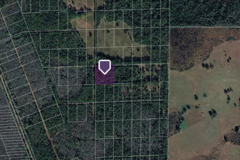 Land in Polk City, Florida № 2386391 - photo 4