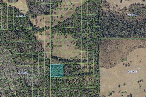 Land in Polk City, Florida № 2386391