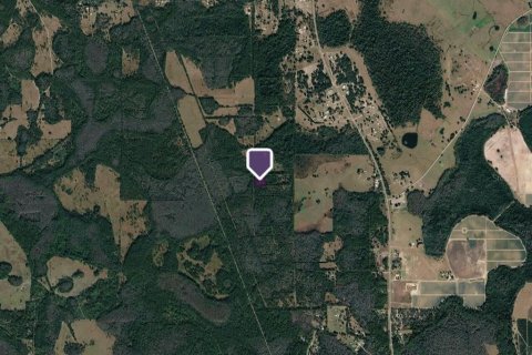 Land in Polk City, Florida № 2386391 - photo 3