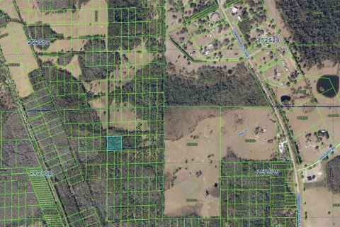 Land in Polk City, Florida № 2386391 - photo 2