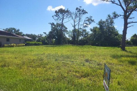 Land in Rotonda, Florida № 1873240 - photo 4