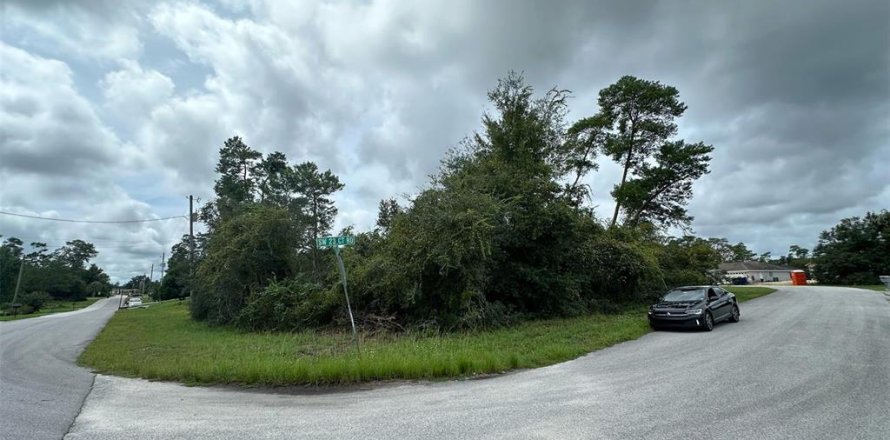Land in Ocala, Florida № 1743577