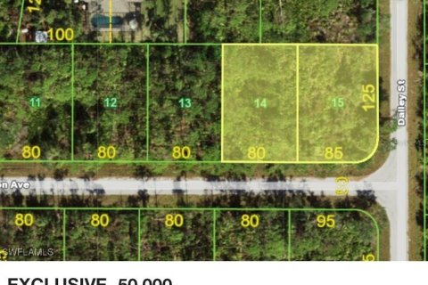 Land in Port Charlotte, Florida № 2163444 - photo 4