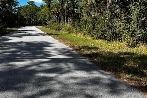 Land in Port Charlotte, Florida № 2163444 - photo 2