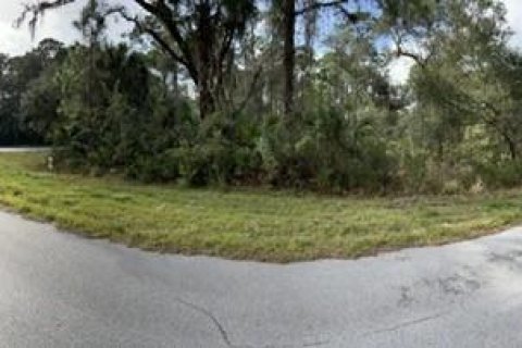 Land in Port Charlotte, Florida № 2163444 - photo 3