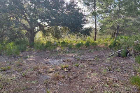 Terrain à vendre à Indian lake estates, Floride № 2228922 - photo 6