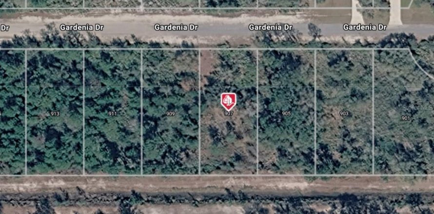 Terrain à Indian lake estates, Floride № 2228922