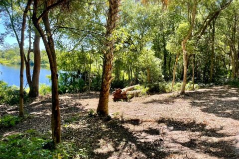 Land in Lake Helen, Florida № 1677082 - photo 6