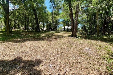 Land in Lake Helen, Florida № 1677082 - photo 13