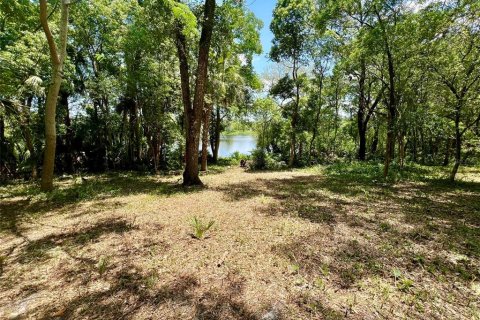 Land in Lake Helen, Florida № 1677082 - photo 12