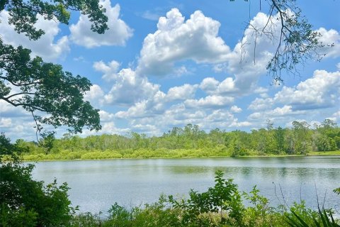 Land in Lake Helen, Florida № 1677082 - photo 1