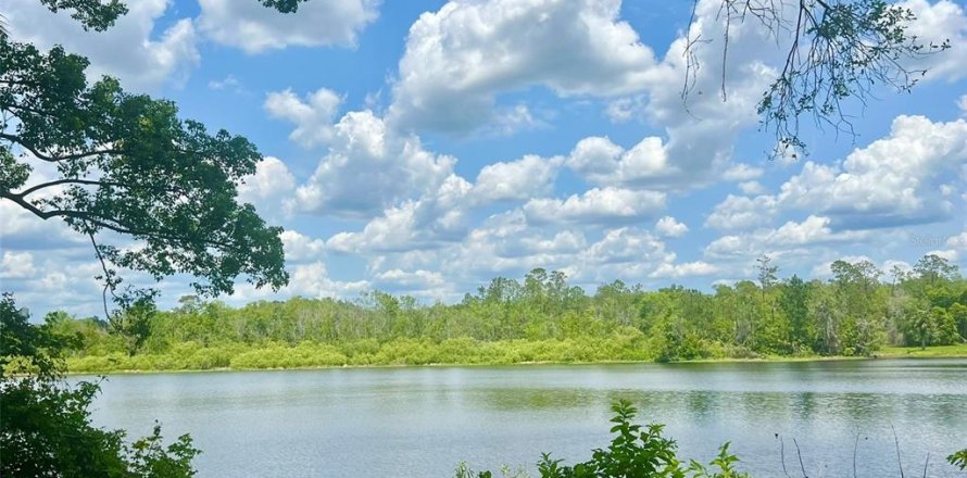 Land in Lake Helen, Florida № 1677082