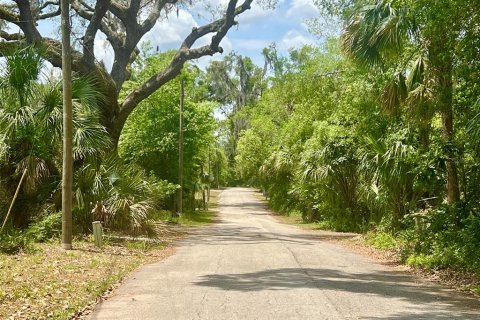 Land in Lake Helen, Florida № 1677082 - photo 19