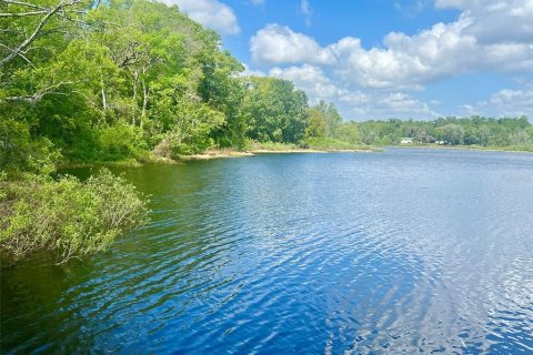 Land in Lake Helen, Florida № 1677082 - photo 9