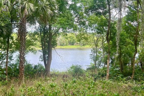 Land in Lake Helen, Florida № 1677082 - photo 10