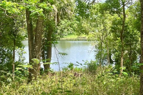 Land in Lake Helen, Florida № 1677082 - photo 11