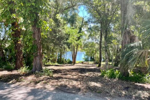 Land in Lake Helen, Florida № 1677082 - photo 7