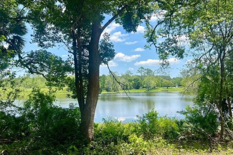 Land in Lake Helen, Florida № 1677082 - photo 4