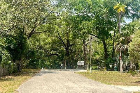 Land in Lake Helen, Florida № 1677082 - photo 22
