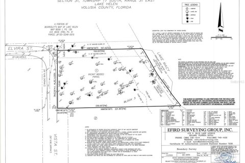 Land in Lake Helen, Florida № 1677082 - photo 17