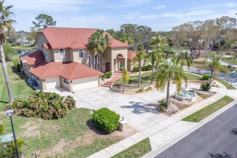 Casa en Spring Hill, Florida 5 dormitorios, 502.6 m2 № 2115328