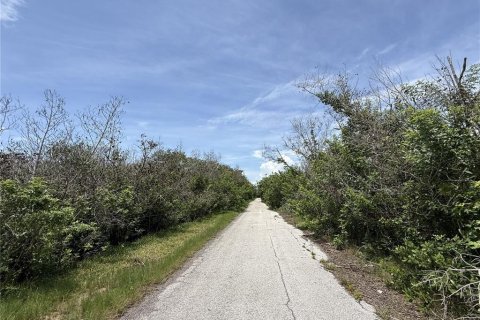 Land in Gibsonton, Florida № 2280366