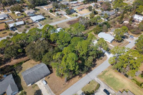 Land in Edgewater, Florida № 2217635 - photo 10