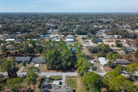 Land in Edgewater, Florida № 2217635 - photo 12