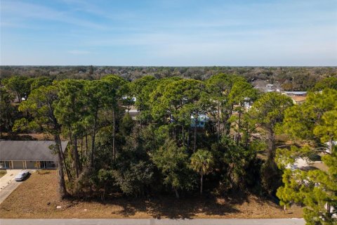Land in Edgewater, Florida № 2217635 - photo 6