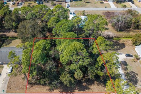 Land in Edgewater, Florida № 2217635