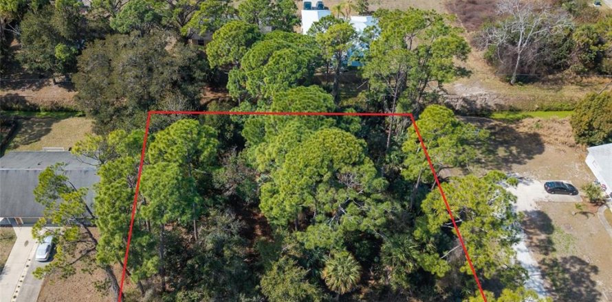 Land in Edgewater, Florida № 2217635