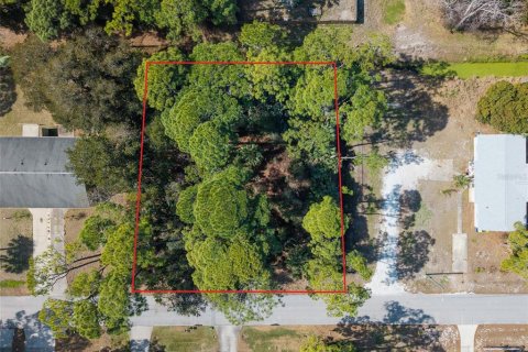 Land in Edgewater, Florida № 2217635 - photo 13
