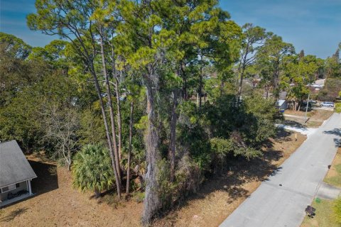 Land in Edgewater, Florida № 2217635 - photo 15