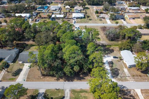 Land in Edgewater, Florida № 2217635 - photo 11
