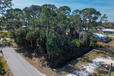 Land in Edgewater, Florida № 2217635 - photo 14